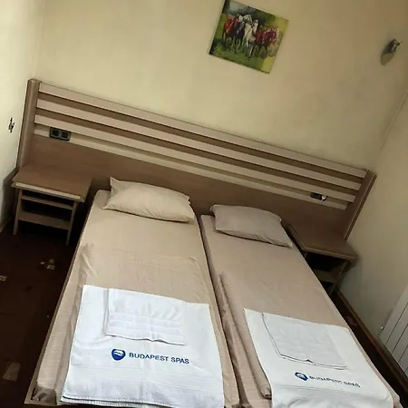 Hotel семеен максим Teteven